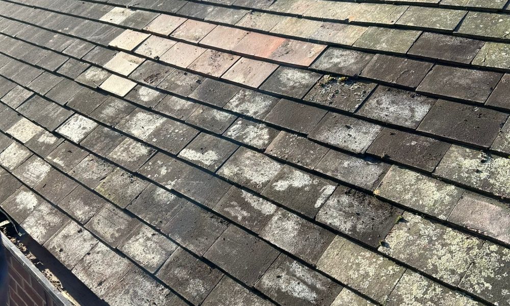 592c8091-9783-4527-96c0-906f370efab1