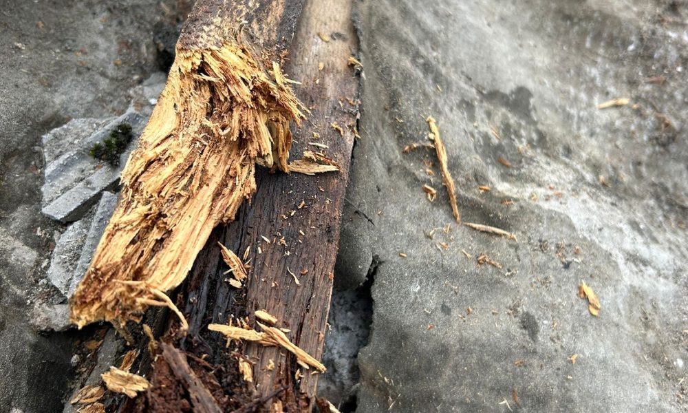 6e70a23c-fa7a-4952-98c4-24d636644eef