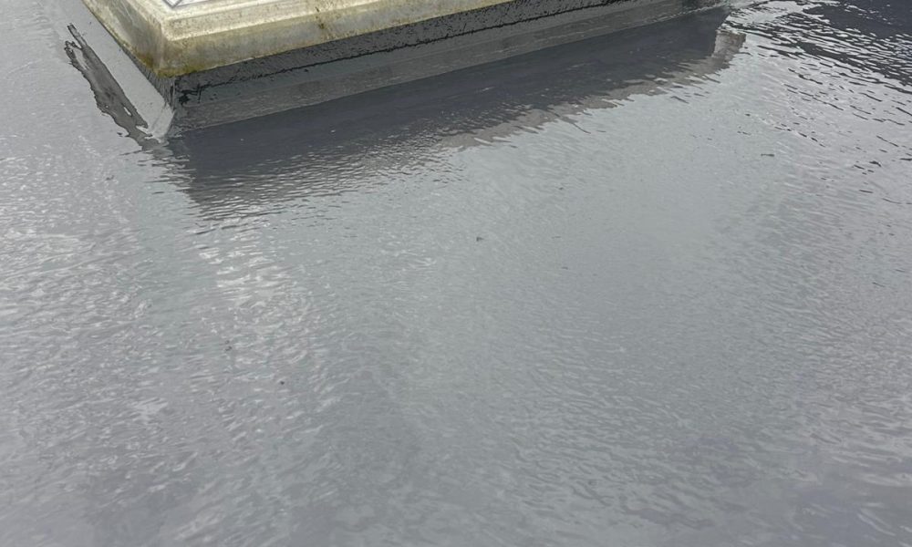 Fiber Glass Roof (3)