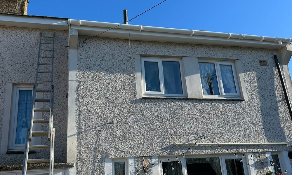 Gutters, Fascias & Soffits (48)