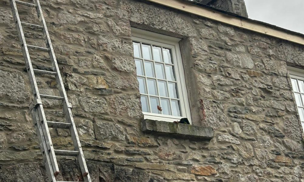 Gutters, Fascias & Soffits_11 (12)