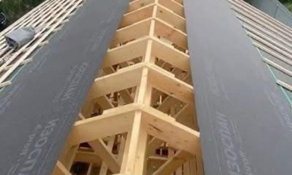 PHOTO-2025-09-03-23-19-03_1