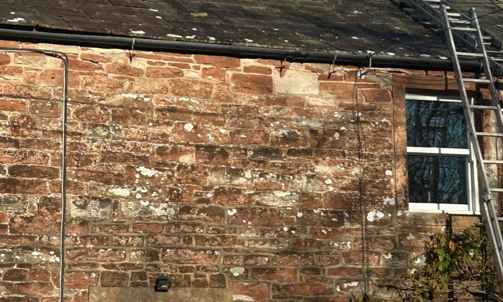 PHOTO-2025-11-25-11-09-10_1