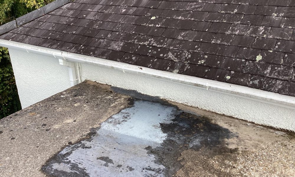 PHOTO-2025-12-04-12-07-10