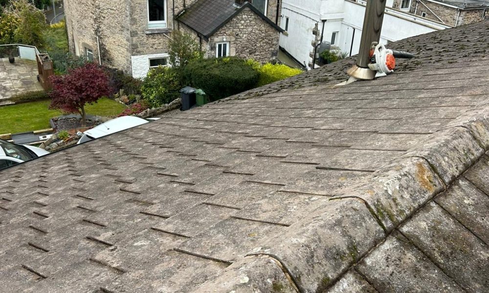 Roof Moss Cleaning 3
