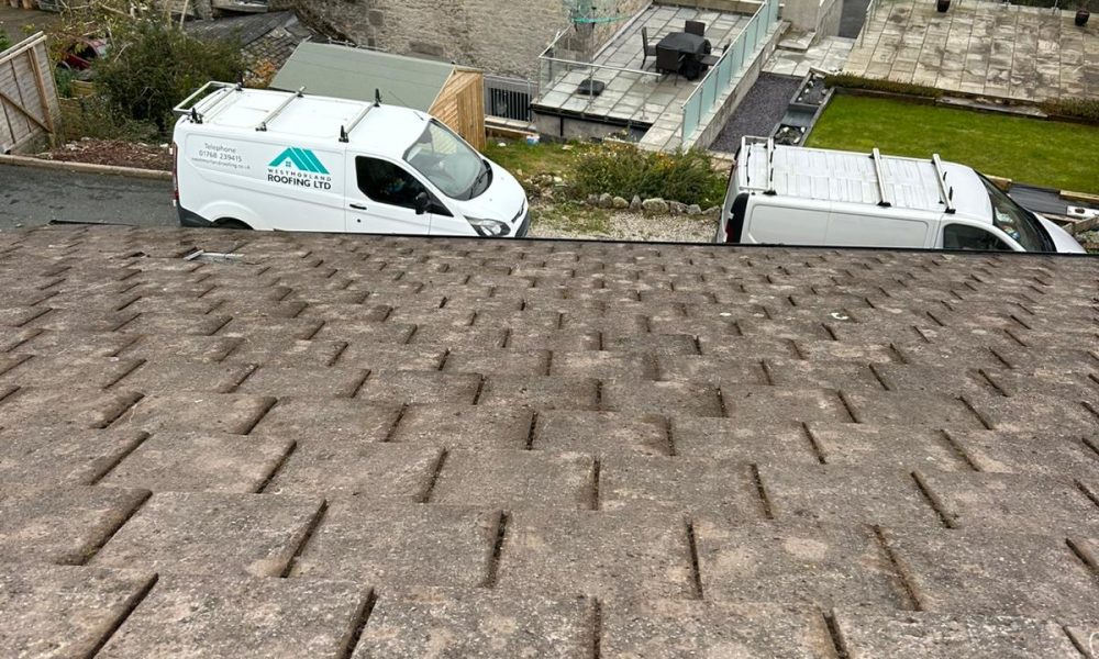 Roof Moss Cleaning 4