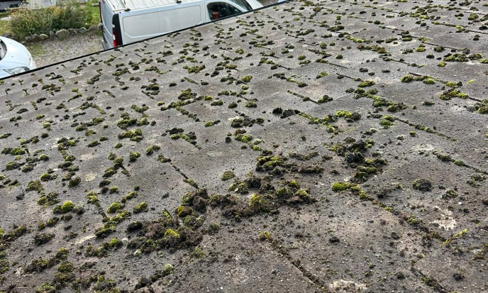 Roof Moss Cleaning 7