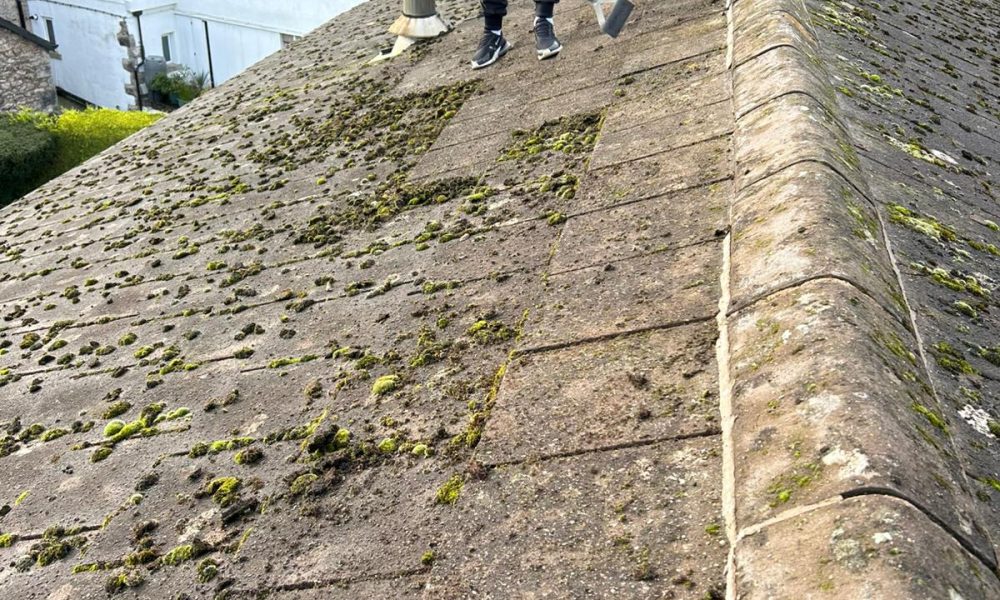 Roof Moss Cleaning 8