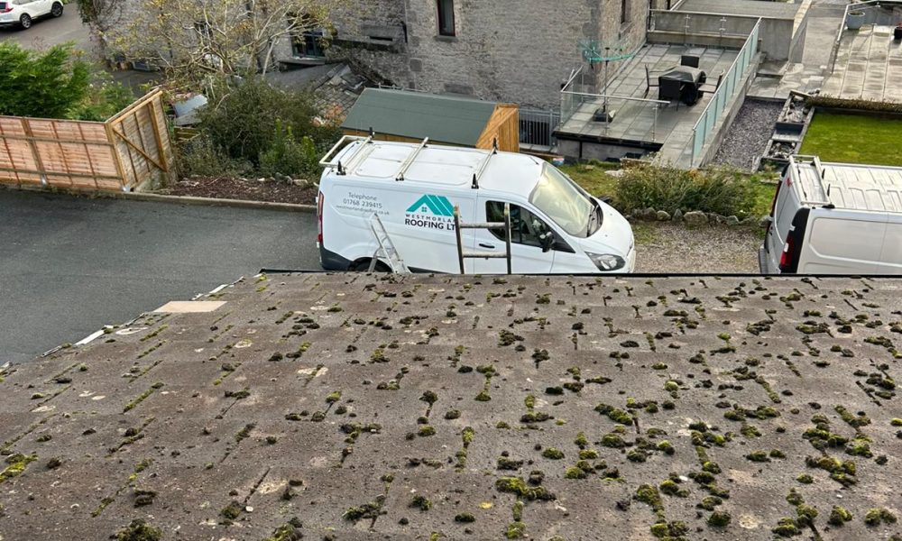 Roof Moss Cleaning 9