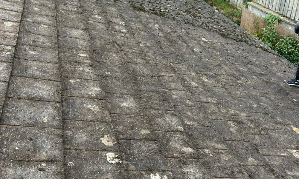 Roof Moss Cleaning_2