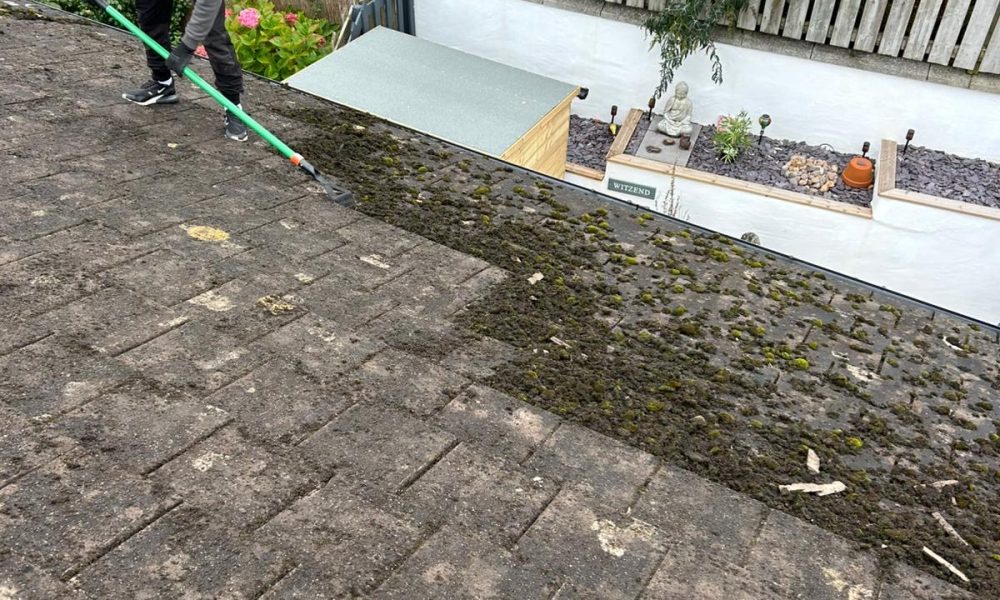 Roof Moss Cleaning_22