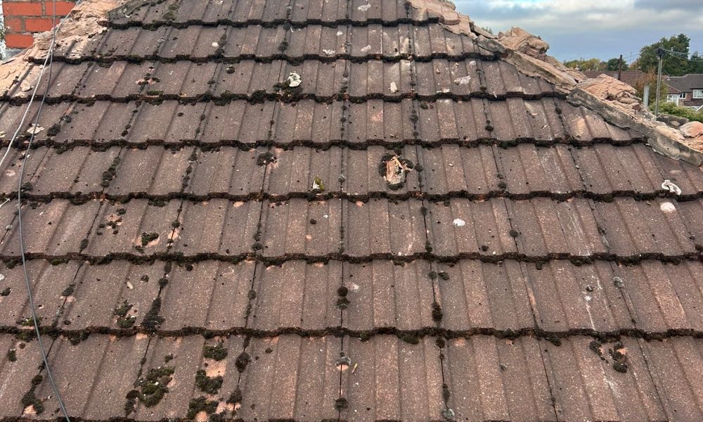 Roof Retoration (3)