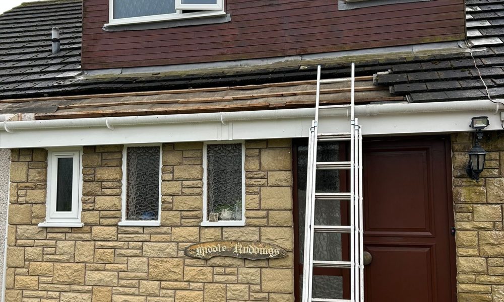 bd1ca207-f13a-44b9-b047-12aac857a947