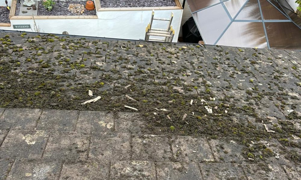 roof moss cleaning